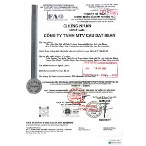 TCB CÀ PHÊ VÀNG ARABICA YELLOW BOURBON 1